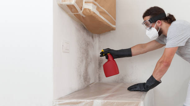 Professional Mold Removal technician working in Triangle, VA