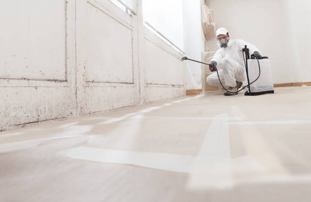 24/7 Emergency Mold Removal experts in Triangle, VA