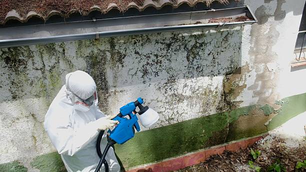 Top rated local Mold Removal specialists in Triangle, VA